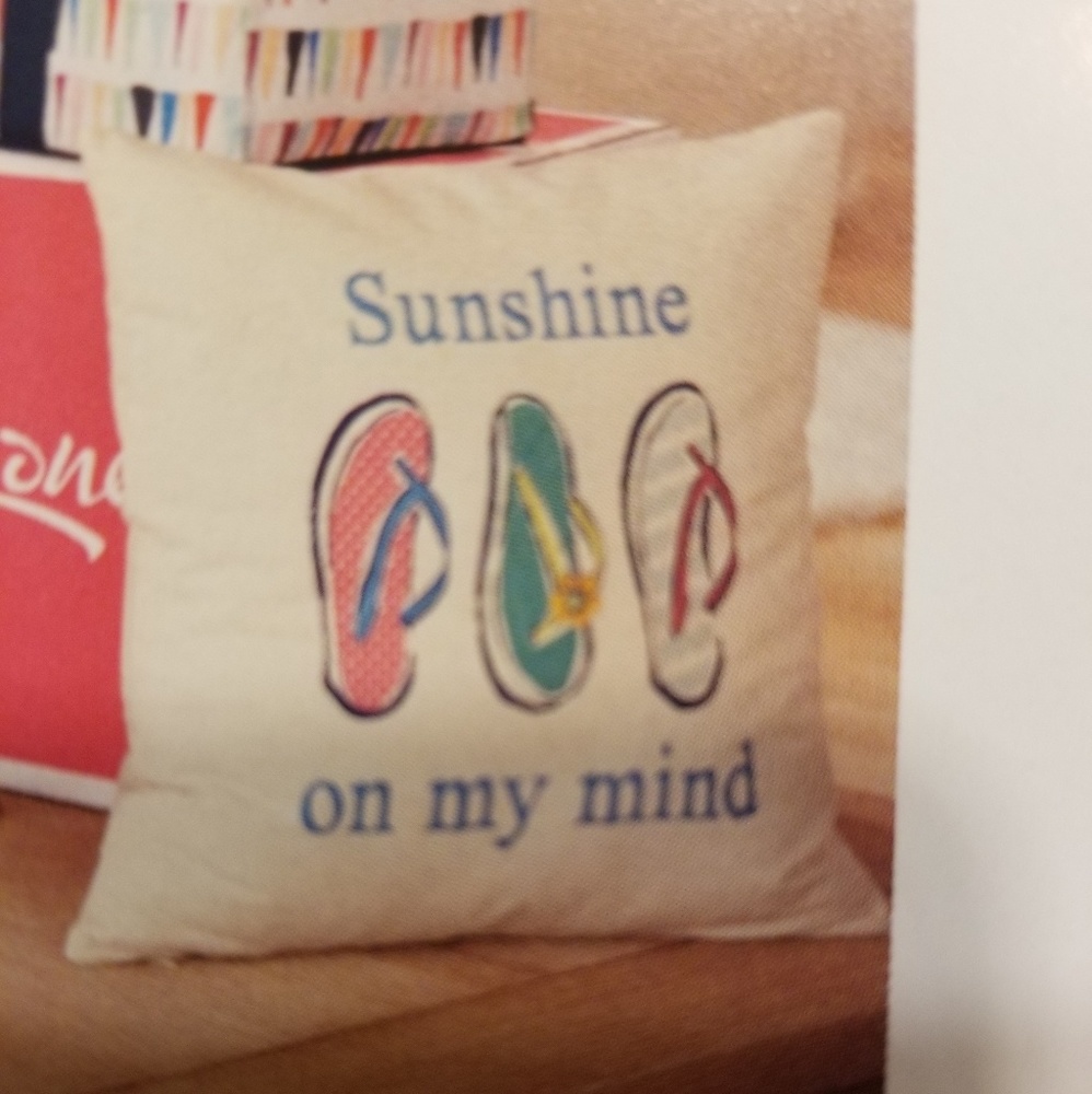NWT pillow cover